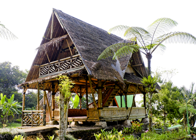 Saung Kurma